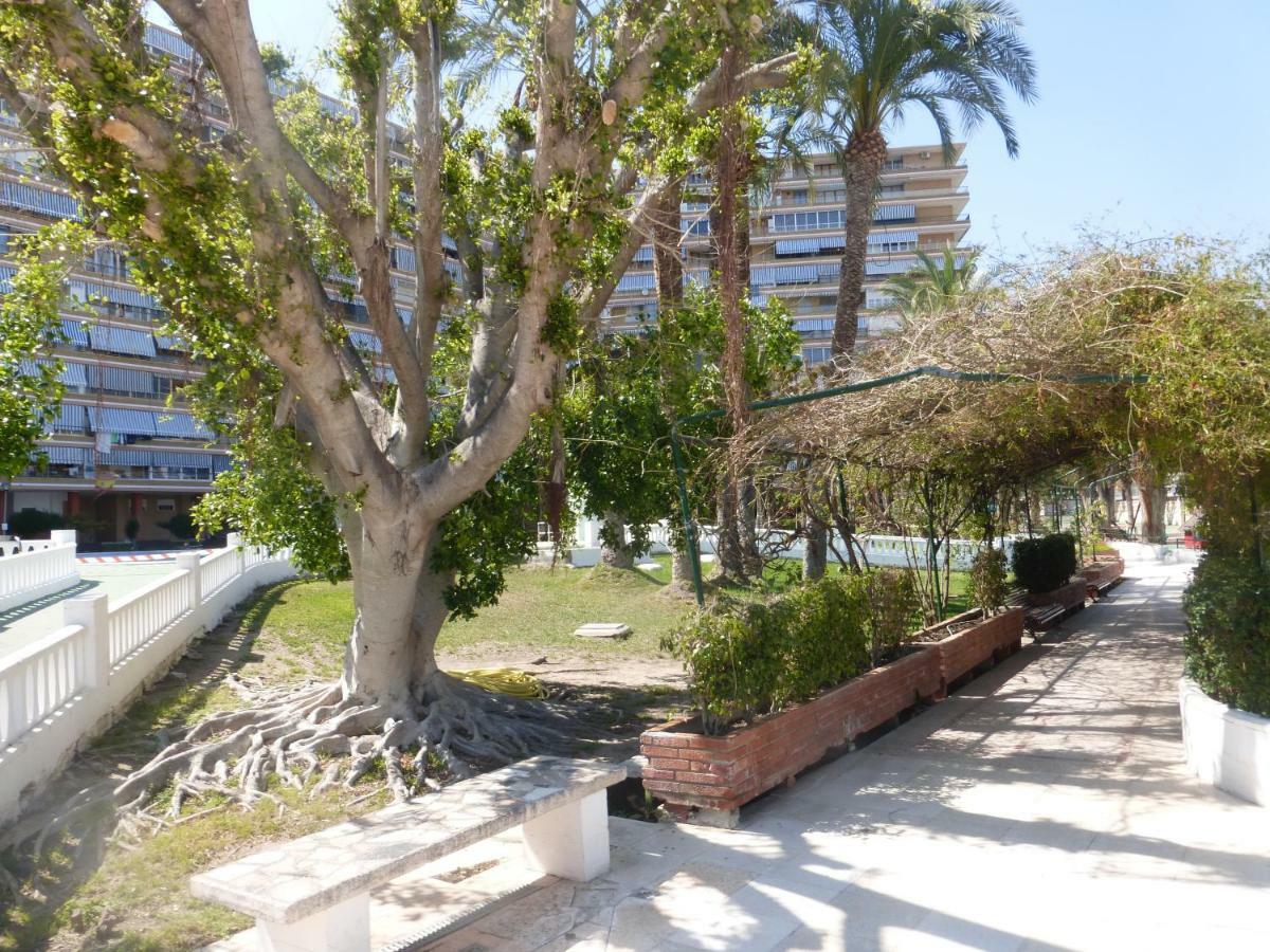 Family And Friends - San Juan Playa Apartment อาลิกันเต ภายนอก รูปภาพ
