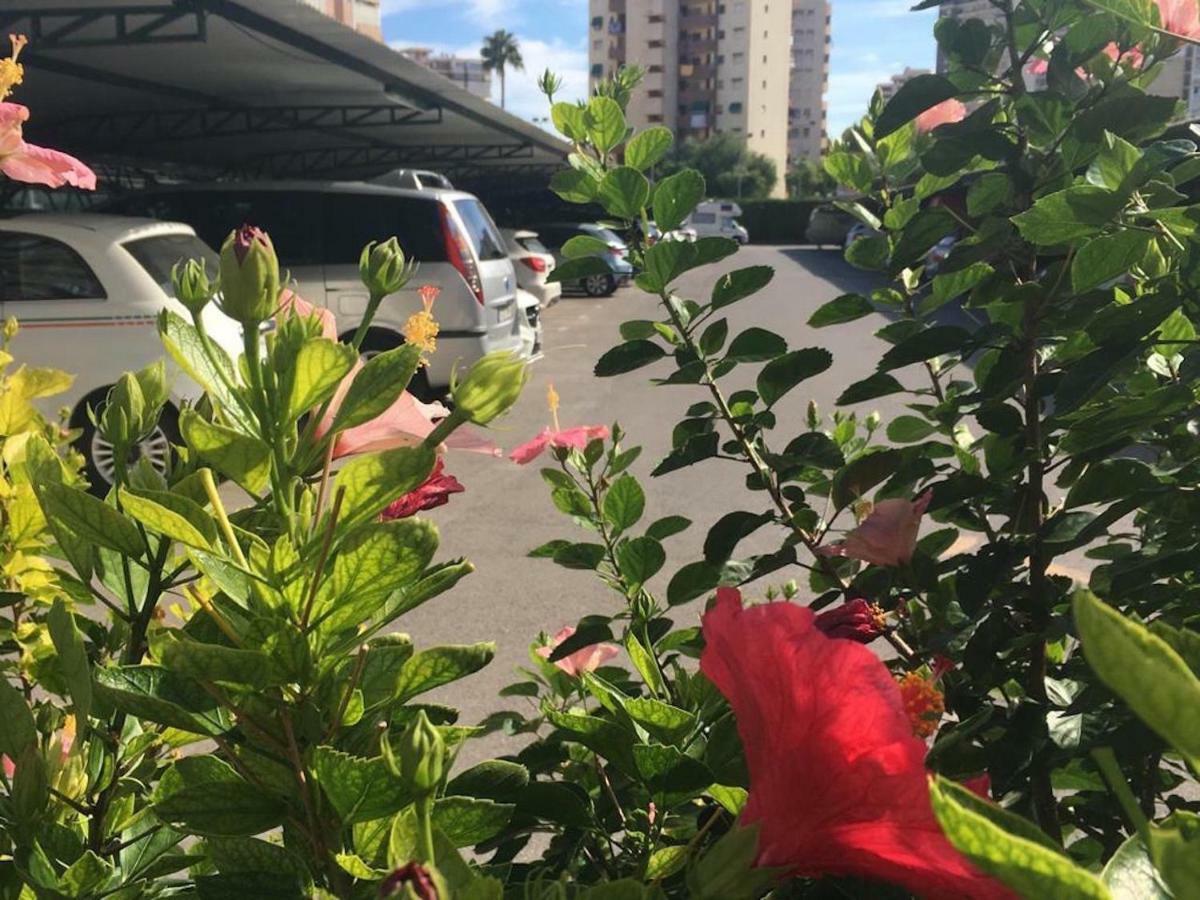 Family And Friends - San Juan Playa Apartment อาลิกันเต ภายนอก รูปภาพ